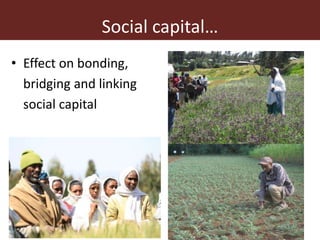 Addressing gender inequalities in Ethiopia’s agricultural sector to reduce poverty