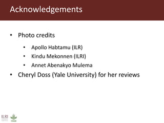 Addressing gender inequalities in Ethiopia’s agricultural sector to reduce poverty