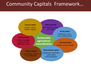 Addressing gender inequalities in Ethiopia’s agricultural sector to reduce poverty