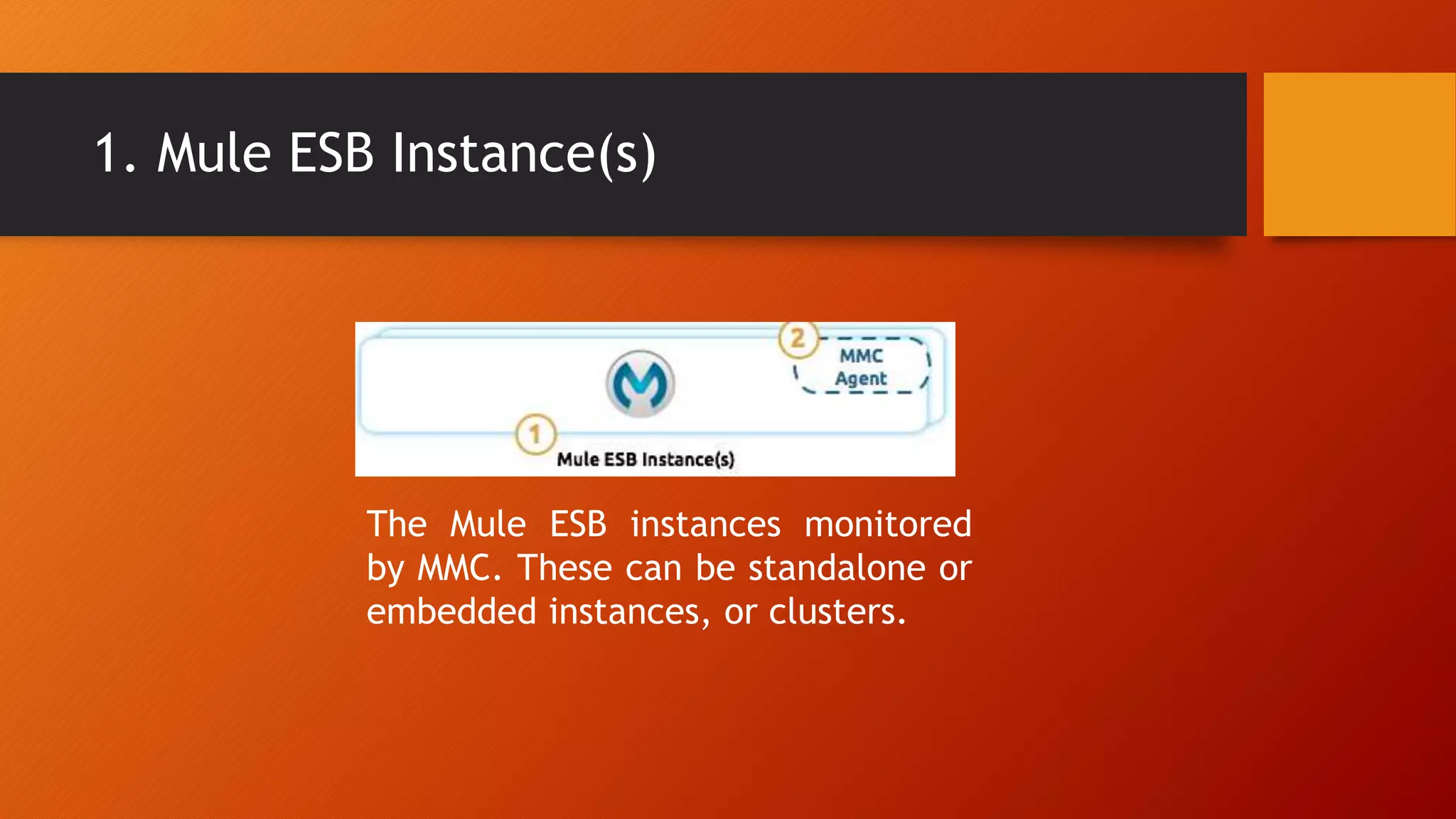 1. Mule ESB Instance(s)
The Mule ESB instances monitored
by MMC. These can be standalone or
embedded instances, or clusters.
 