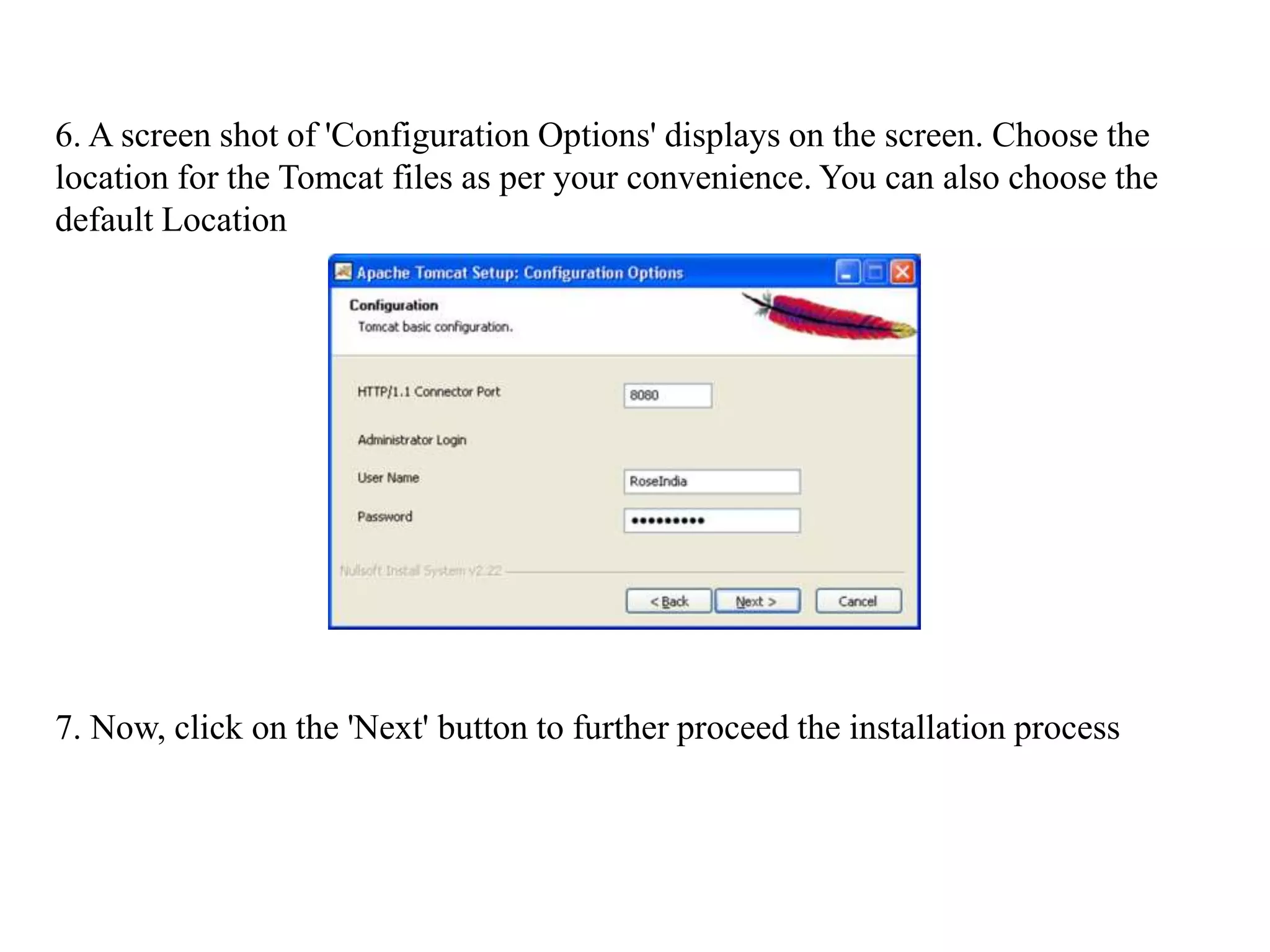 6. A screen shot of 'Configuration Options' displays on the screen. Choose the
location for the Tomcat files as per your convenience. You can also choose the
default Location
7. Now, click on the 'Next' button to further proceed the installation process
 