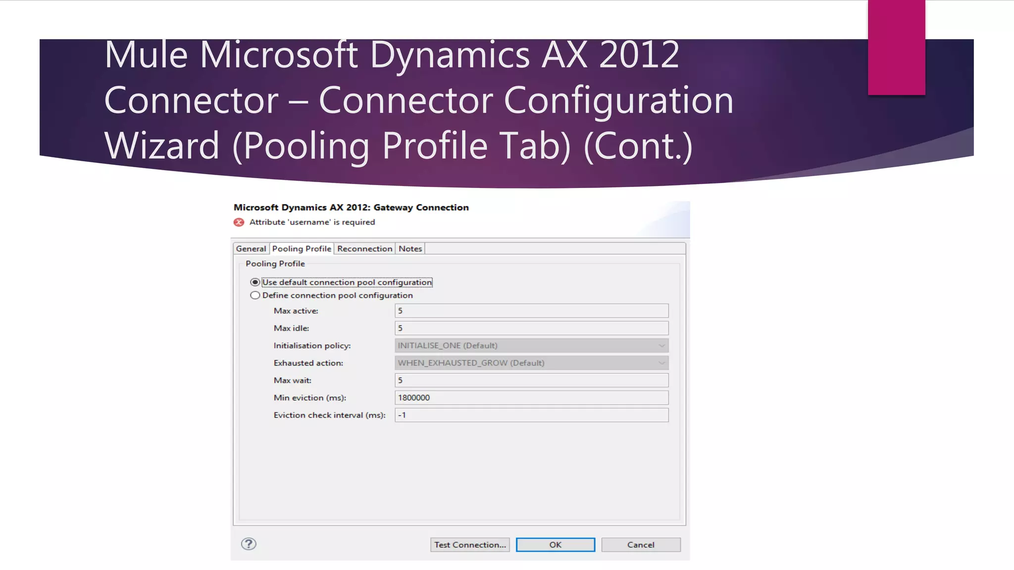 Mule Microsoft Dynamics AX 2012
Connector – Connector Configuration
Wizard (Pooling Profile Tab) (Cont.)
 
