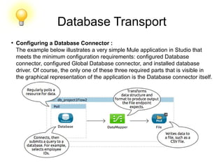 Database Transport
●
Configuring a Database Connector :
The example below illustrates a very simple Mule application in Studio that
meets the minimum configuration requirements: configured Database
connector, configured Global Database connector, and installed database
driver. Of course, the only one of these three required parts that is visible in
the graphical representation of the application is the Database connector itself.
 