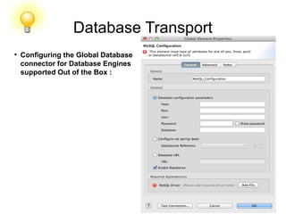 Database Transport
●
Configuring the Global Database
connector for Database Engines
supported Out of the Box :
 