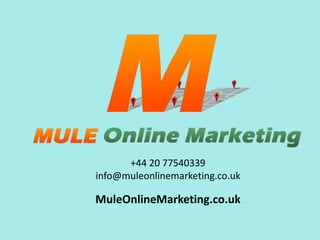 +44 20 77540339 
info@muleonlinemarketing.co.uk 
MuleOnlineMarketing.co.uk 
 