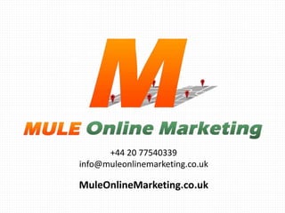 +44 20 77540339
info@muleonlinemarketing.co.uk
MuleOnlineMarketing.co.uk
 