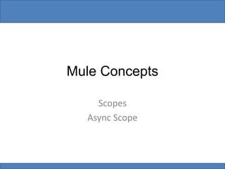 Mule Concepts
Scopes
Async Scope
 