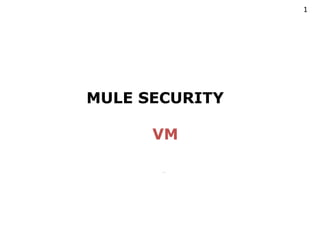 MULE SECURITY
VM
-
1
 