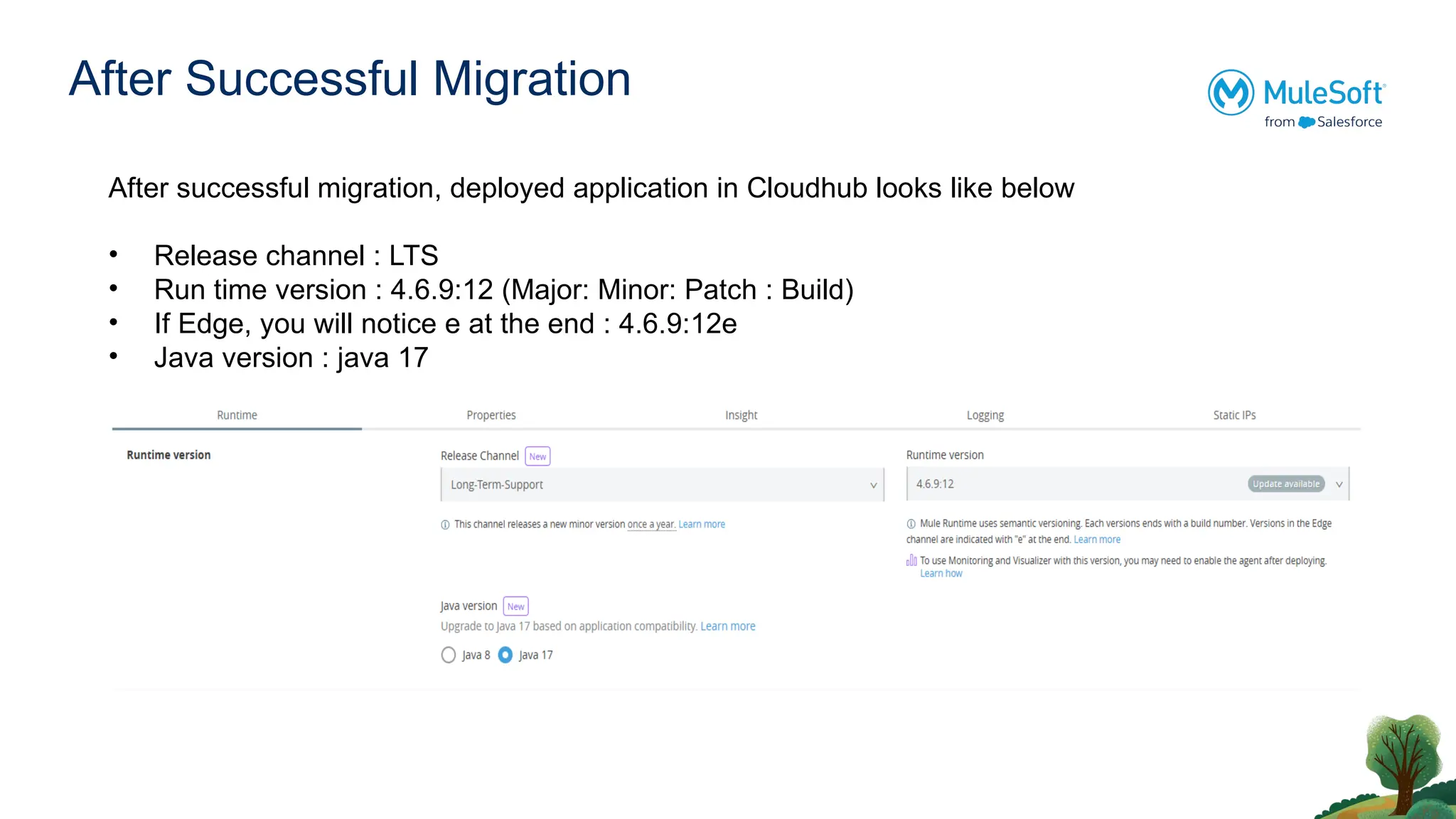 After Successful Migration
After successful migration, deployed application in Cloudhub looks like below
• Release channel : LTS
• Run time version : 4.6.9:12 (Major: Minor: Patch : Build)
• If Edge, you will notice e at the end : 4.6.9:12e
• Java version : java 17
 