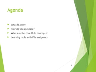 Agenda
 What is Mule?
 How do you use Mule?
 What are the core Mule concepts?
 Learning mule with File endpoints
2
 