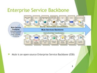 Enterprise Service Backbone
 Mule is an open-source Enterprise Service Backbone (ESB)
3
 