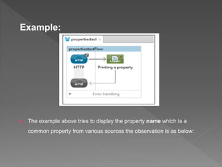 Mule system properties | PPT