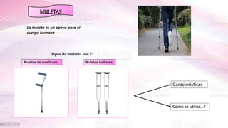 Muletas, concepto, partes etc.......pptx
