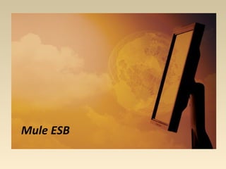 Mule ESB
 