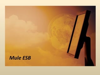 Mule ESB 
