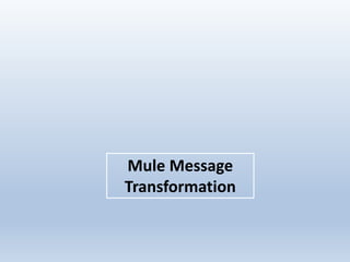 Mule Message
Transformation
 
