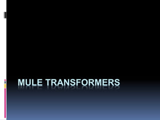 MULE TRANSFORMERS
 