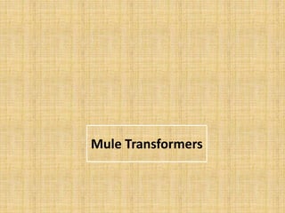 Mule Transformers
 