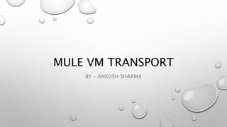 MULE VM TRANSPORT
BY – ANKUSH SHARMA
 
