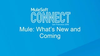 Mule: What’s New and
Coming
 