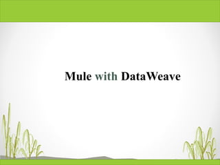 Mule with DataWeave
 