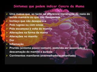 Mulher e Cancro da Mama