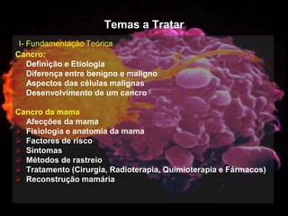 Mulher e Cancro da Mama