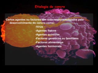 Mulher e Cancro da Mama