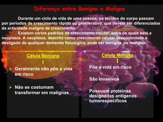 Mulher e Cancro da Mama