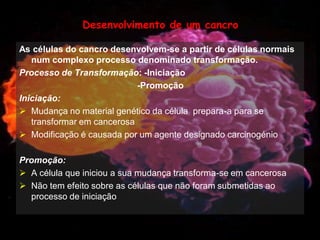 Mulher e Cancro da Mama