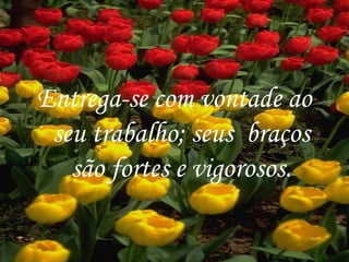 Entrega-se com vontade ao seu trabalho; seus  braços são fortes e vigorosos. 