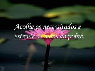Acolhe os necessitados e estende as mãos ao pobre. 
