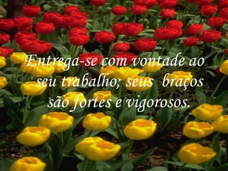 Entrega-se com vontade ao seu trabalho; seus  braços são fortes e vigorosos. 