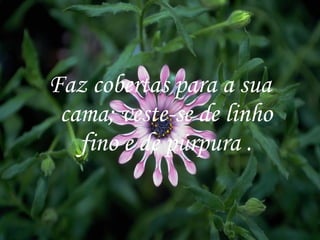 Faz cobertas para a sua cama; veste-se de linho fino e de púrpura . 