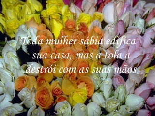 Toda mulher sábia edifica sua casa, mas a tola a destrói com as suas mãos 