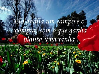 Ela avalia um campo e o compra; com o que ganha planta uma vinha . 