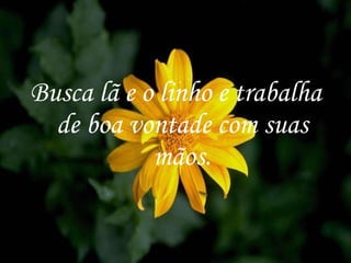 Busca lã e o linho e trabalha de boa vontade com suas mãos. 