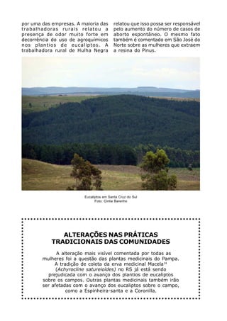 por uma das empresas. A maioria das       relatou que isso possa ser responsável
trabalhadoras rurais relatou a            pelo aumento do número de casos de
presença de odor muito forte em           aborto espontâneo. O mesmo fato
decorrência do uso de agroquímicos        também é comentado em São José do
nos plantios de eucaliptos. A             Norte sobre as mulheres que extraem
trabalhadora rural de Hulha Negra         a resina do Pinus.




                         Eucaliptos em Santa Cruz do Sul
                               Foto: Cintia Barenho




               ALTERAÇÕES NAS PRÁTICAS
            TRADICIONAIS DAS COMUNIDADES
              A alteração mais visível comentada por todas as
        mulheres foi a questão das plantas medicinais do Pampa.
             A tradição de coleta da erva medicinal Macela14
              (Achyrocline satureioides) no RS já está sendo
          prejudicada com o avanço dos plantios de eucaliptos
        sobre os campos. Outras plantas medicinais também irão
        ser afetadas com o avanço dos eucaliptos sobre o campo,
                  como a Espinheira-santa e a Coronilla.
 