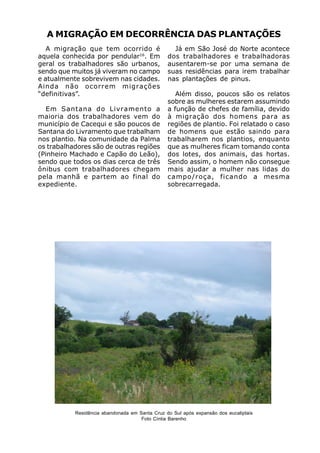 A MIGRAÇÃO EM DECORRÊNCIA DAS PLANTAÇÕES
   A migração que tem ocorrido é                  Já em São José do Norte acontece
aquela conhecida por pendular16. Em             dos trabalhadores e trabalhadoras
geral os trabalhadores são urbanos,             ausentarem-se por uma semana de
sendo que muitos já viveram no campo            suas residências para irem trabalhar
e atualmente sobrevivem nas cidades.            nas plantações de pinus.
Ainda não ocorrem migrações
“definitivas”.                                     Além disso, poucos são os relatos
                                                sobre as mulheres estarem assumindo
  Em Santana do Livramento a                    a função de chefes de família, devido
maioria dos trabalhadores vem do                à migração dos homens para as
município de Cacequi e são poucos de            regiões de plantio. Foi relatado o caso
Santana do Livramento que trabalham             de homens que estão saindo para
nos plantio. Na comunidade da Palma             trabalharem nos plantios, enquanto
os trabalhadores são de outras regiões          que as mulheres ficam tomando conta
(Pinheiro Machado e Capão do Leão),             dos lotes, dos animais, das hortas.
sendo que todos os dias cerca de três           Sendo assim, o homem não consegue
ônibus com trabalhadores chegam                 mais ajudar a mulher nas lidas do
pela manhã e partem ao final do                 campo/roça, ficando a mesma
expediente.                                     sobrecarregada.




           Residência abandonada em Santa Cruz do Sul após expansão dos eucaliptais
                                     Foto Cíntia Barenho
 