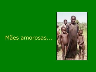 Mães amorosas... 
 