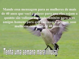 Mande essa mensagem para as mulheres de mais de 40 anos que você conhece para que elas vejam o quanto são valiosas e mande também para seus amigos homens para que eles nunca percam suas mulheres com mais de 40 anos…. Tenha uma semana maravilhosa! 