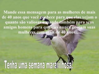 Mande essa mensagem para as mulheres de mais
de 40 anos que você conhece para que elas vejam o
quanto são valiosas e mande também para seus
amigos homens para que eles nunca percam suas
mulheres com mais de 40 anos….

 