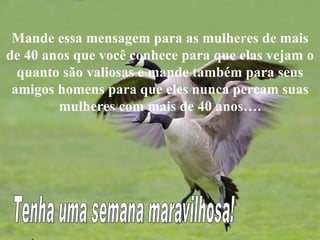 Mande essa mensagem para as mulheres de mais de 40 anos que você conhece para que elas vejam o quanto são valiosas e mande também para seus amigos homens para que eles nunca percam suas mulheres com mais de 40 anos…. Tenha uma semana maravilhosa! 