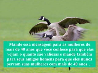 Mande essa mensagem para as mulheres de mais de 40 anos que você conhece para que elas vejam o quanto são valiosas e mande também para seus amigos homens para que eles nunca percam suas mulheres com mais de 40 anos…. 