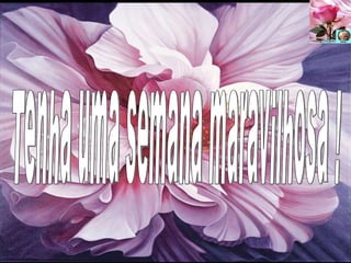 Tenha uma semana maravilhosa ! 