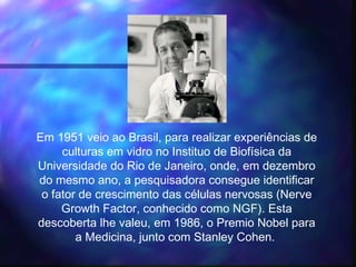 Em 1951 veio ao Brasil, para realizar experiências de
culturas em vidro no Instituo de Biofísica da
Universidade do Rio de Janeiro, onde, em dezembro
do mesmo ano, a pesquisadora consegue identificar
o fator de crescimento das células nervosas (Nerve
Growth Factor, conhecido como NGF). Esta
descoberta lhe valeu, em 1986, o Premio Nobel para
a Medicina, junto com Stanley Cohen.
 