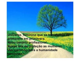 Universo  feminino que se transforma de primavera em primavera.Novo cenário profissional.Novas leis de proteção as mulheres.Um  caminho para a humanidade  percorrer.