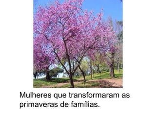 Mulheres que transformaram as primaveras de famílias.