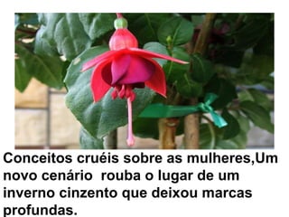 Conceitos cruéis sobre as mulheres,Um novo cenário  rouba o lugar de um inverno cinzento que deixou marcas profundas.