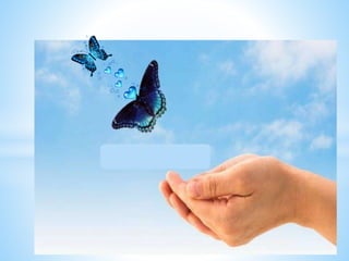 Mulheres novos rumos  2015